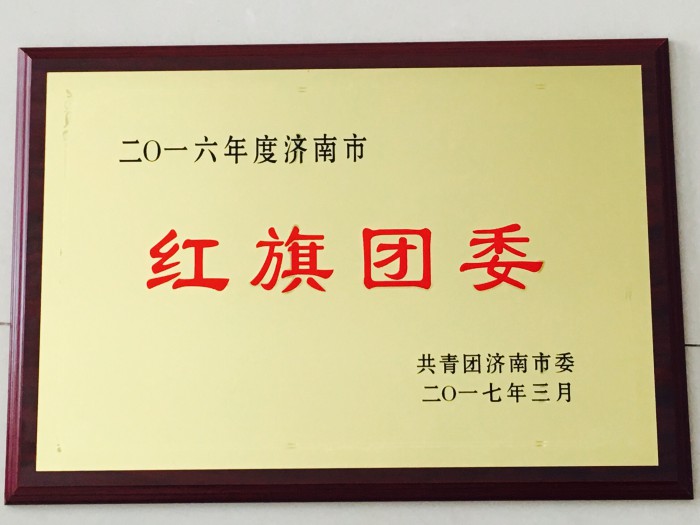 齐鲁理工学院团委喜获2016济南市“红旗团委”